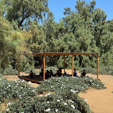 Rancho Dominique Valle De Guadalupe Esterno foto