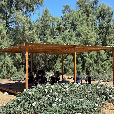 Rancho Dominique Valle De Guadalupe Esterno foto