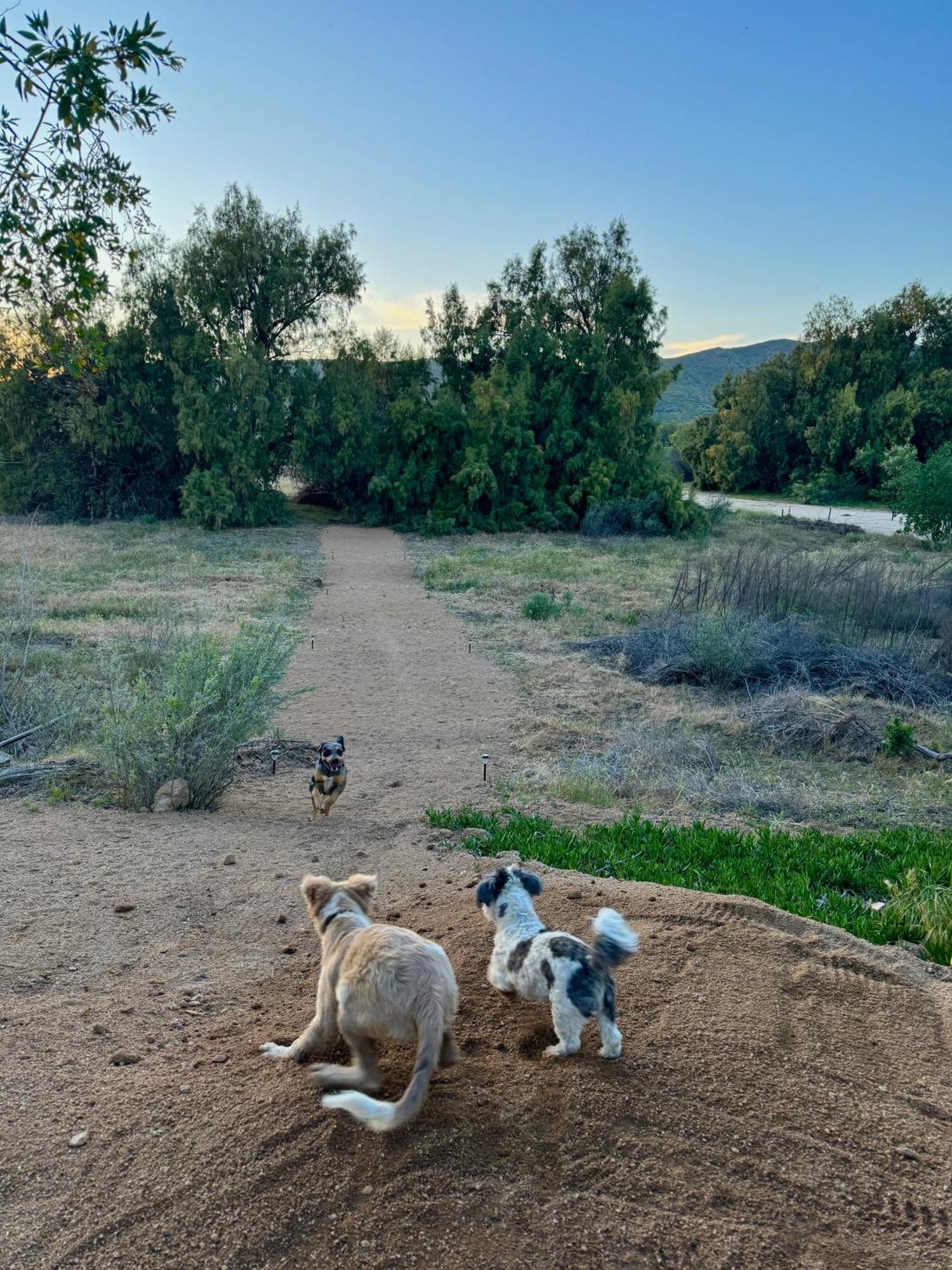 Rancho Dominique Valle De Guadalupe Esterno foto